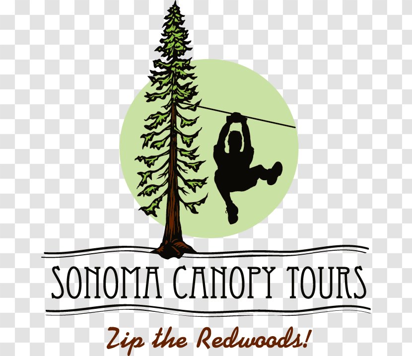 Blessing Of The Animals Festival Sonoma Canopy Tours Benefit Dinner 2018 Food Industry - Christmas Tree - Scary Bridges California Transparent PNG
