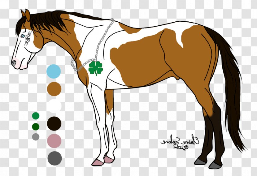 Foal Mane Stallion Mare Colt - Mammal - Mustang Transparent PNG