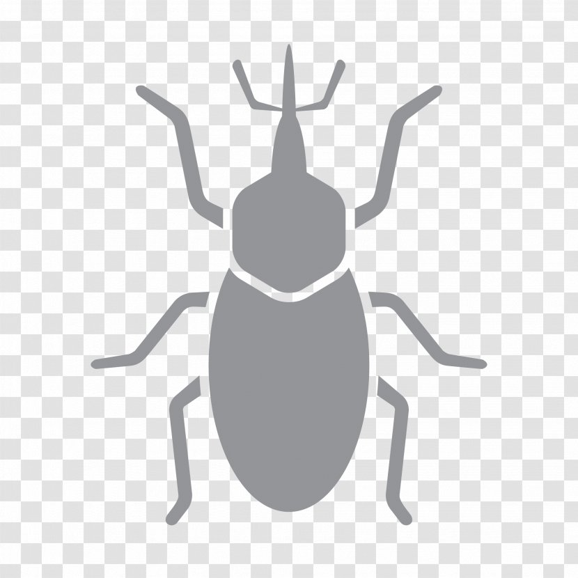 Pest Control Insect Bed Bug Hornet Transparent PNG