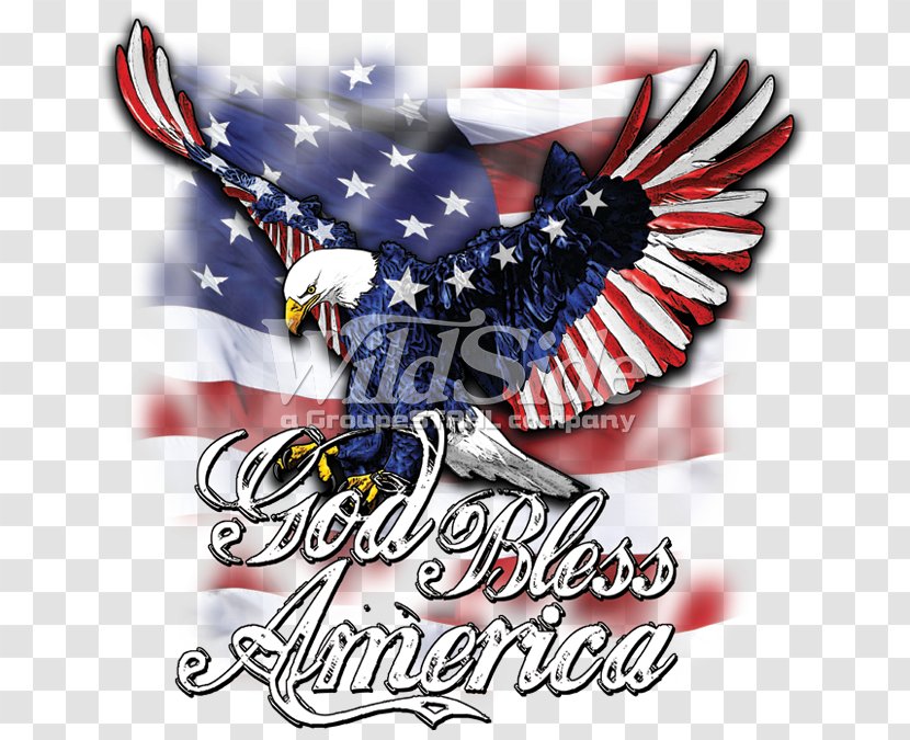 T-shirt American Eagle Outfitters Flag Of The United States Clothing Bald - Aeo Factory Store - Usa Transparent PNG