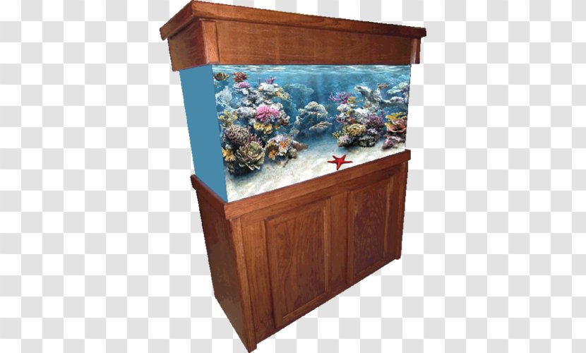 Reef Aquarium Furniture Lighting Tropical Fish - Cabinetry - J S Enterprises Transparent PNG