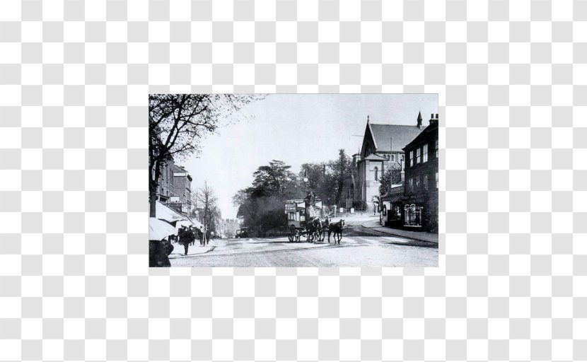 Hampstead Heath Street Pin On - Hill Station Transparent PNG