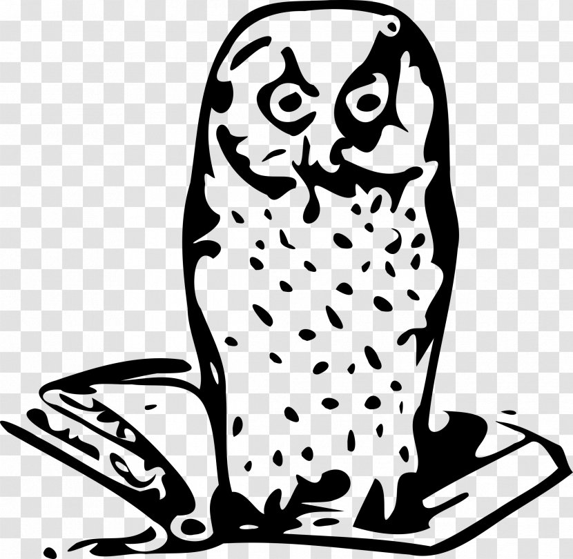 Owl Clip Art - Artwork Transparent PNG