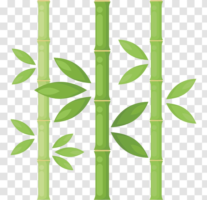 Bamboo Drawing Clip Art - Plant Stem Transparent PNG