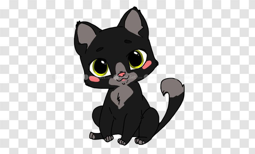 Black Cat Kitten Korat Bombay American Wirehair - A Puppy Transparent PNG