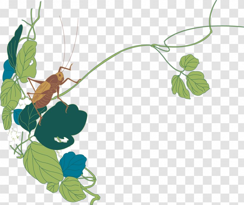Bush Crickets Insect Illustration - Branch - Hand-painted Grasshopper Vector Transparent PNG
