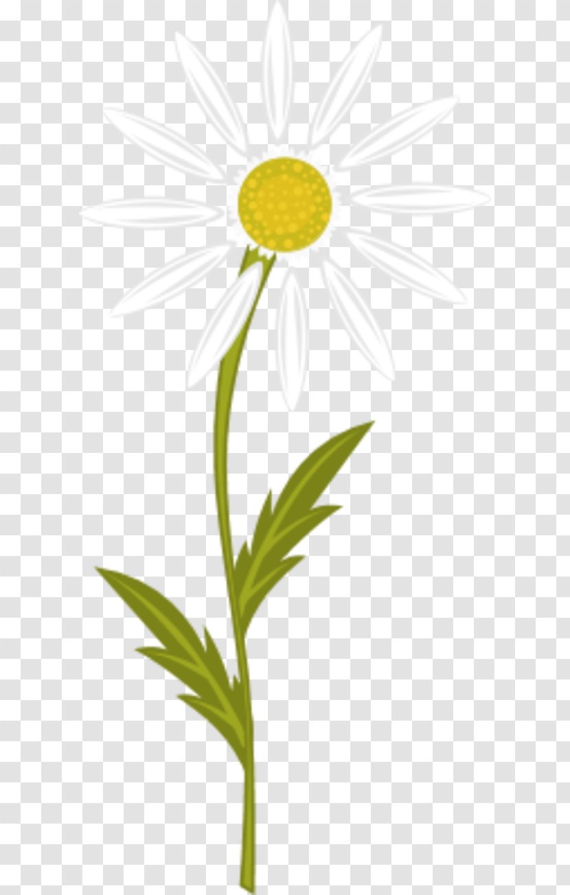 Chamomile Free Content Clip Art - Leaf - Pictures Transparent PNG