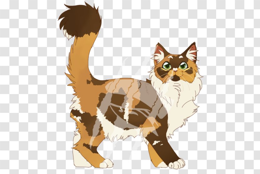 Whiskers Kitten Wildcat Warriors - Cat Like Mammal - Coon Transparent PNG