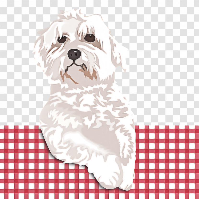 T-shirt Dalmatian Shirt Sleeve Puppy Transparent PNG