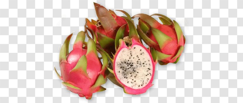 Pitaya South America Fruit .com - Superfood Transparent PNG