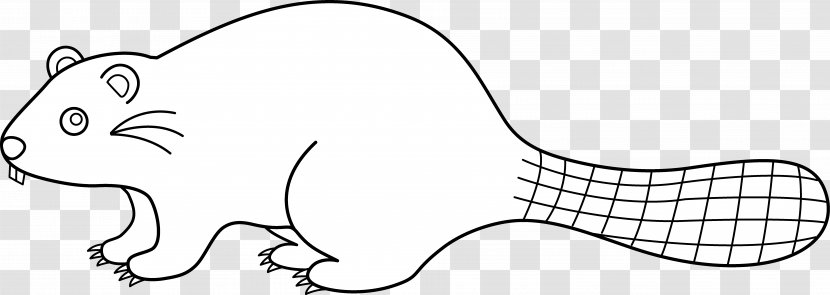 Eurasian Beaver Line Art Drawing Clip - Flower Transparent PNG