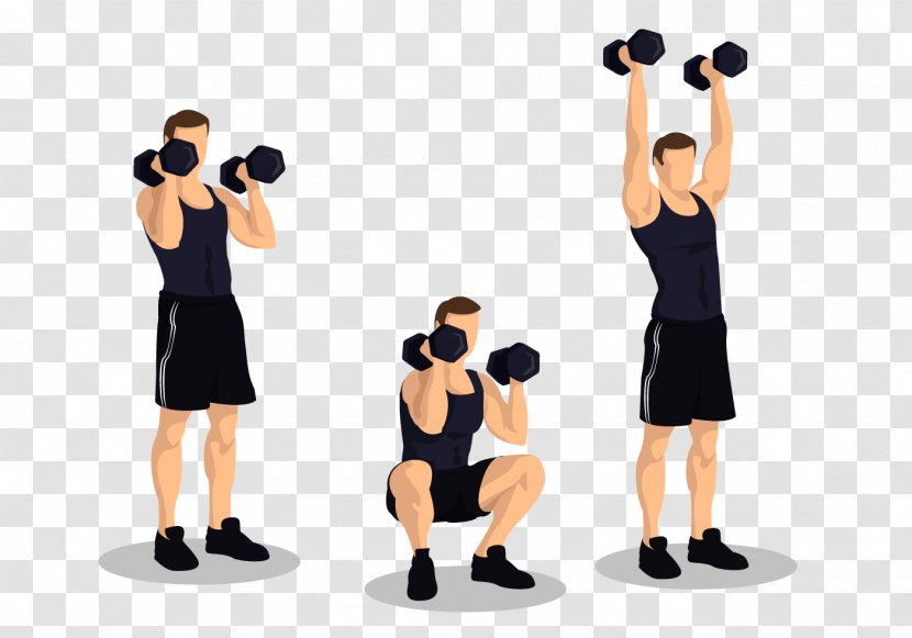 Euclidean Vector Adobe Illustrator - Indoor Games And Sports - Dumbbell Transparent PNG
