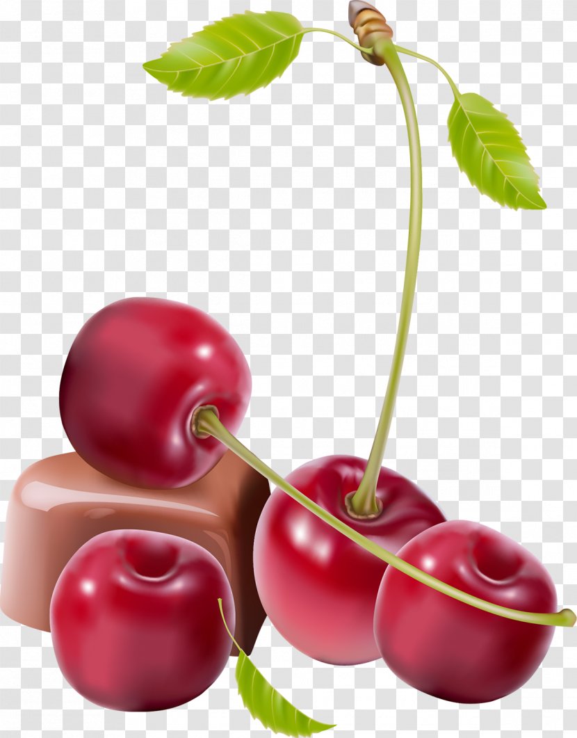 Sweet Cherry Fruit - Royaltyfree Transparent PNG