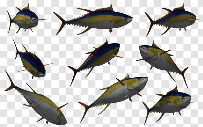 Fish Download 3D Computer Graphics - Marine Biology - Tuna Transparent PNG