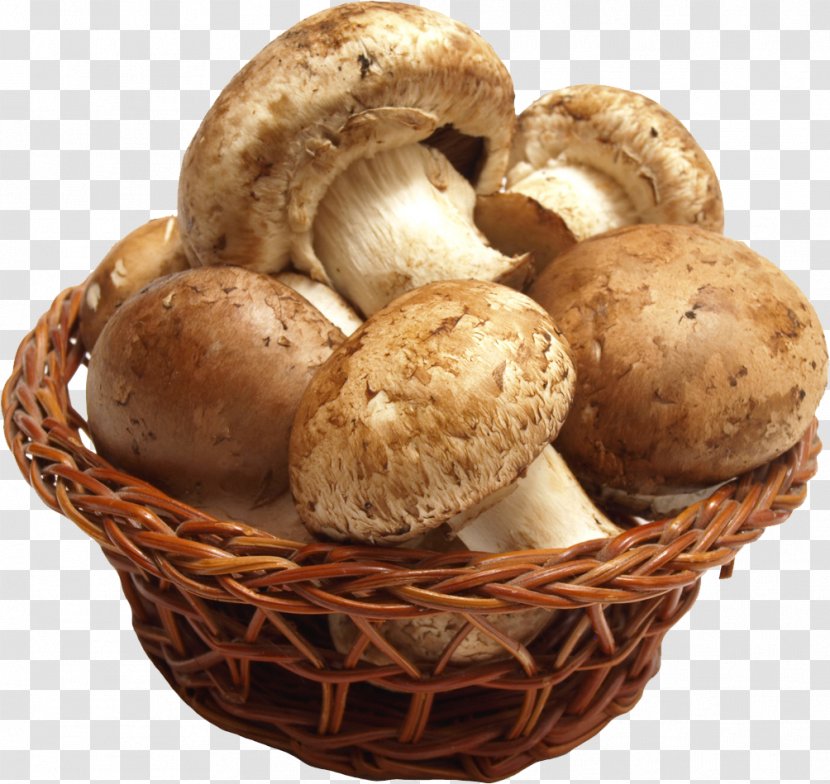 Edible Mushroom Shiitake Morchella Food Transparent PNG