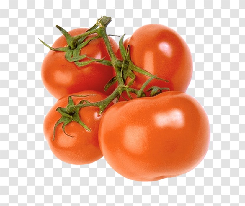 Plum Tomato Bush Vegetable Vegetarian Cuisine Transparent PNG