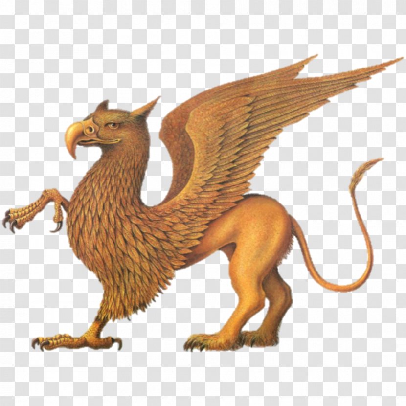 Legendary Creature Mythology Griffin Phoenix Cockatrice - Dog Like Mammal Transparent PNG