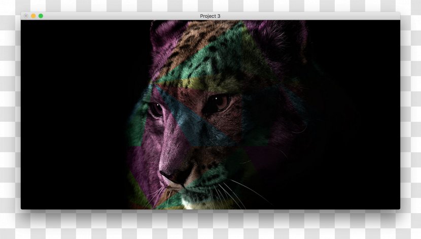 Desktop Wallpaper Cheetah Leopard Lion High-definition Television - Mammal - Jaguar Transparent PNG