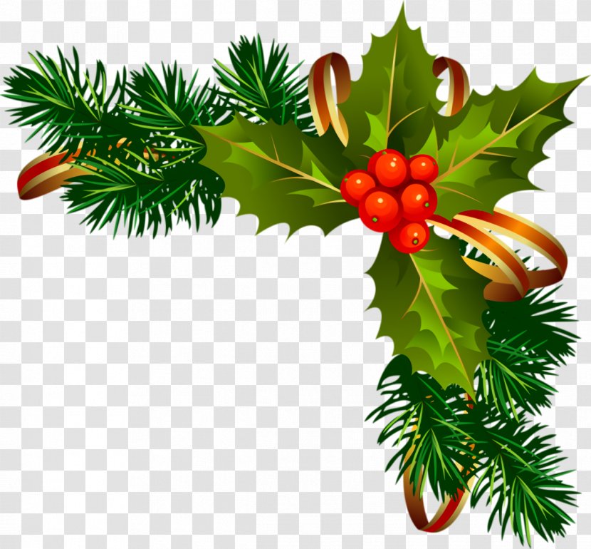Christmas Ornaments Decoration - Holly - Oregon Pine Fir Transparent PNG