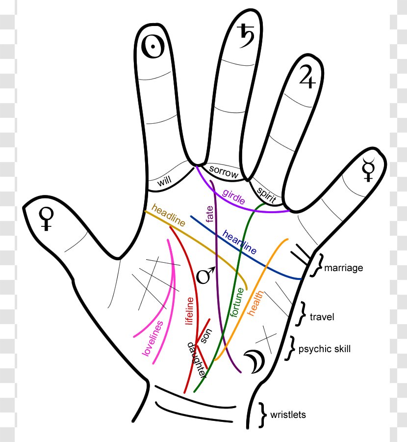 Palmistry For All Future Hand Marriage - Silhouette - Handprint Outline Transparent PNG