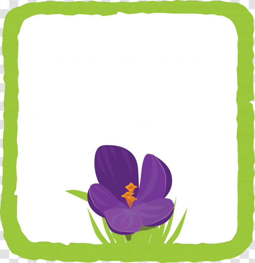 Flower Frame Transparent PNG