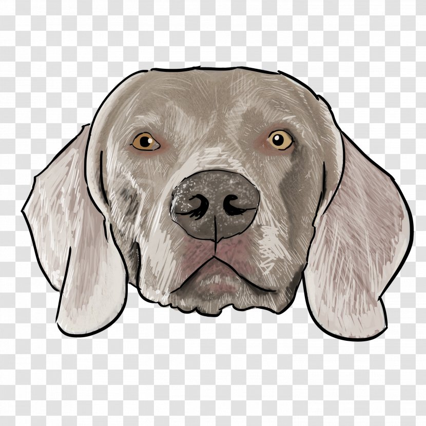 Weimaraner Dog Breed Puppy Boxer Pointer - Alaskan Malamute - Quick As A Can Lick Dish Transparent PNG