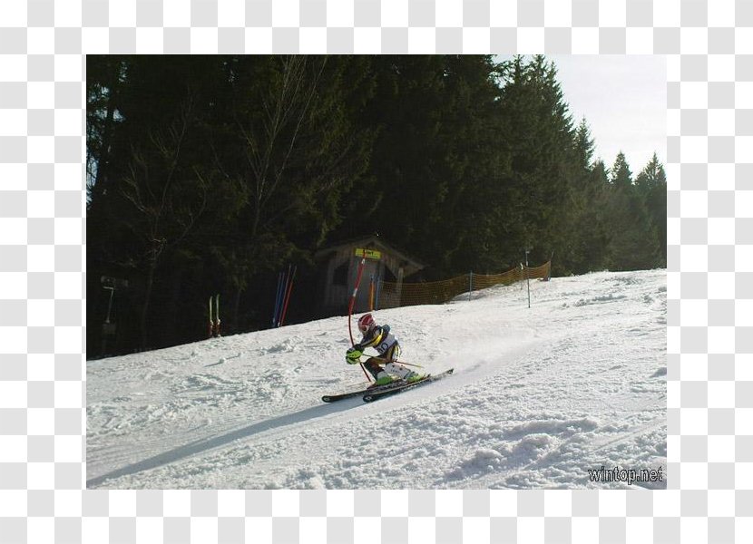 Winter Sport Snow Vehicle Ski Transparent PNG
