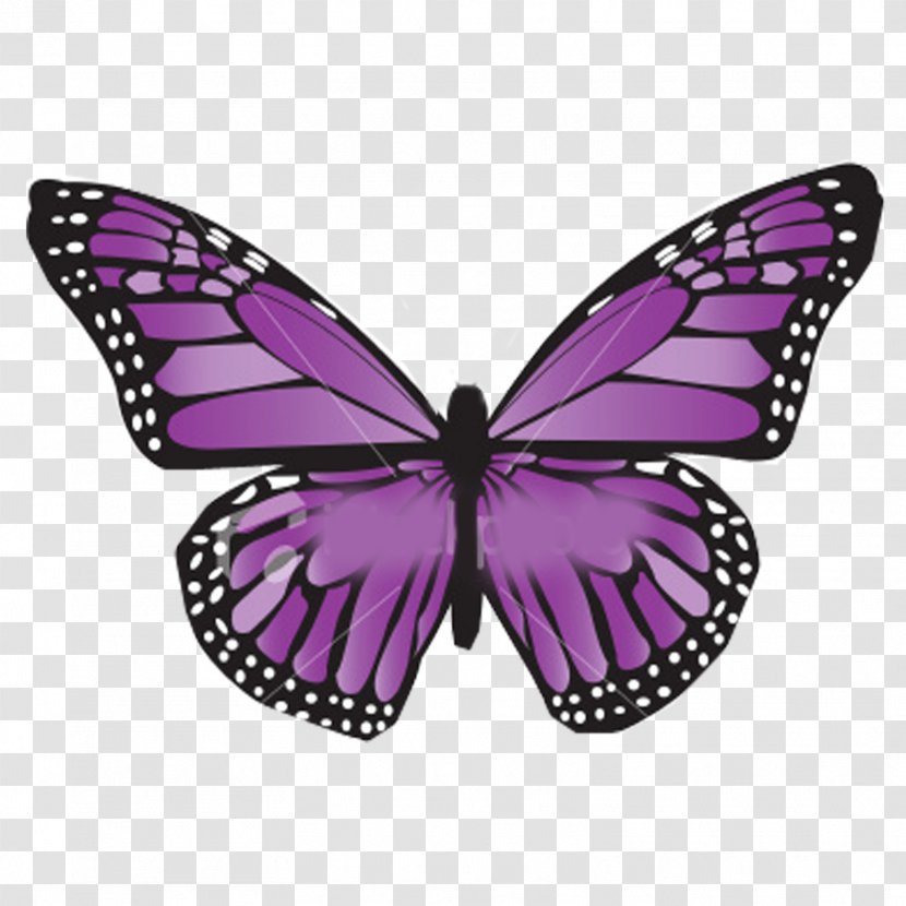Cancer Awareness Ribbon Butterfly Tiki Match Lymphoma - U Transparent PNG