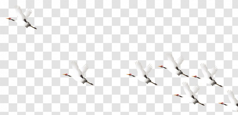 Paper Bird Pattern - White - A Group Of Cranes Flying Transparent PNG