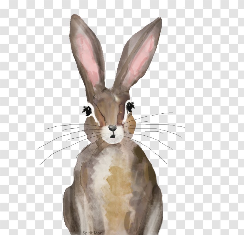 Domestic Rabbit Hare Whiskers New England Cottontail - Rabits And Hares Transparent PNG