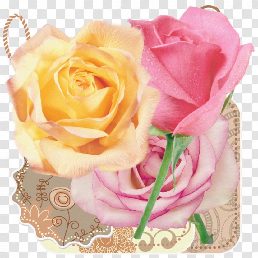 Garden Roses Flower Bouquet Floral Design Cut Flowers - Flowering Plant - Lot Of Transparent PNG