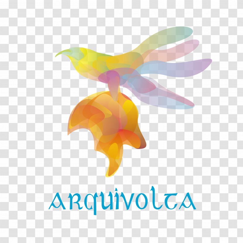 Arquivolta Museo-Casa De Dulcinea Del Toboso Knowledge TripAdvisor Culture - Flower - Photography Transparent PNG