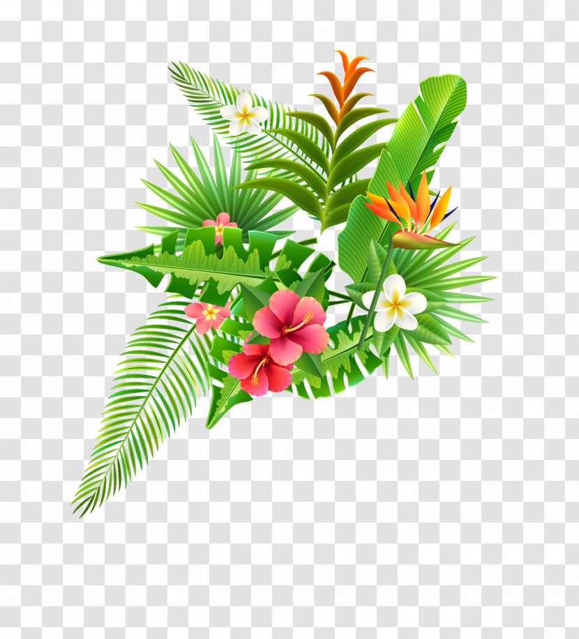 Strelitzia Reginae Parrot Flower Illustration - Bird - Green Plant Bushes Transparent PNG