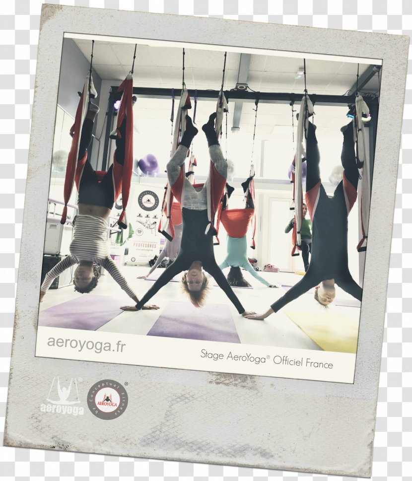 Anti-gravity Yoga Pilates Physical Fitness Alliance - Antigravity - International Transparent PNG