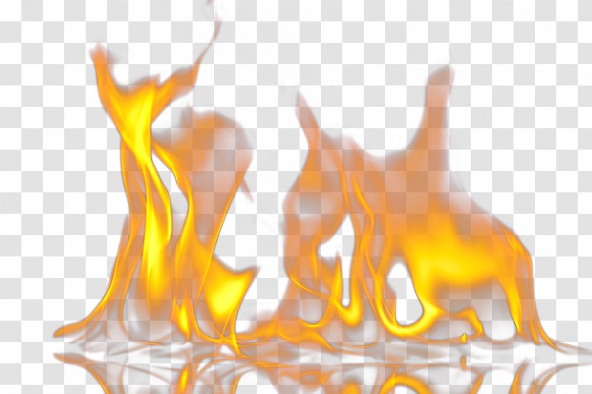 Flame Fire Alcohol Euclidean Vector - Yellow Transparent PNG
