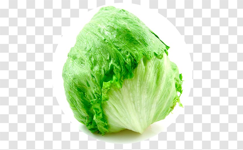 Iceberg Lettuce Vegetable Caesar Salad Food Transparent PNG