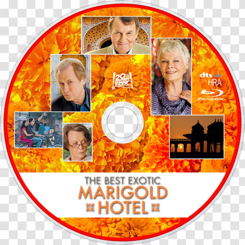 Blu-ray Disc The Best Exotic Marigold Hotel Film Television 20th Century Fox - Digital Copy Transparent PNG