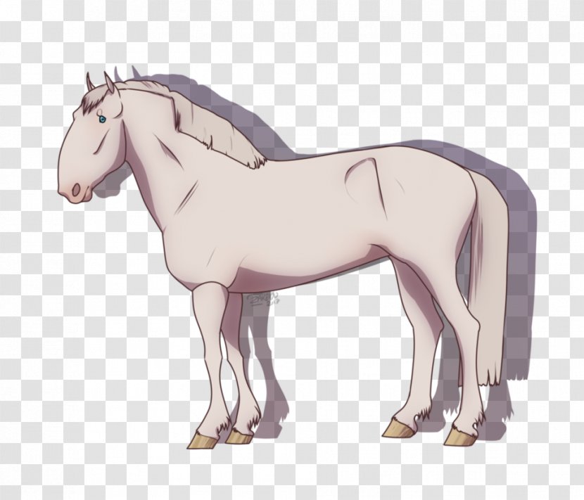 Mustang Stallion Foal Mare Colt - Cartoon Transparent PNG