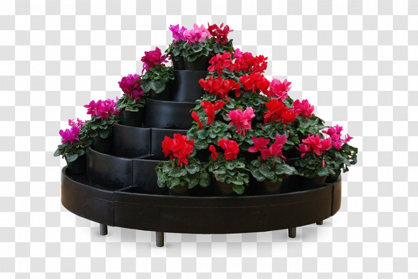 Houseplant Flowerpot Shrub - Late Creative Garden Transparent PNG