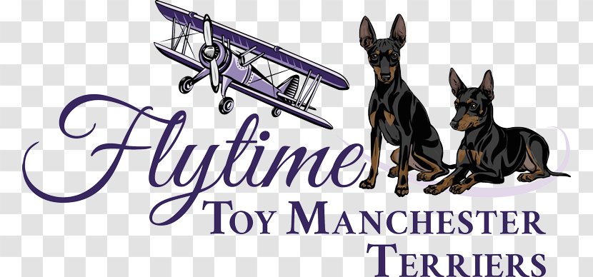 Dog Breed Breeder Manchester's Grill - Toy - Manchester Terrier Transparent PNG