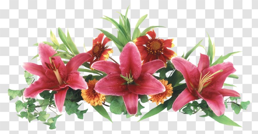 Lily Cut Flowers Clip Art - Flower - Easter Transparent Background Pink Transparent PNG