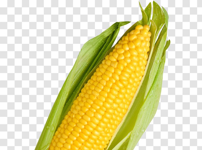 Corn On The Cob Maize 網路商城 Sweet - Proposal - Pop Transparent PNG
