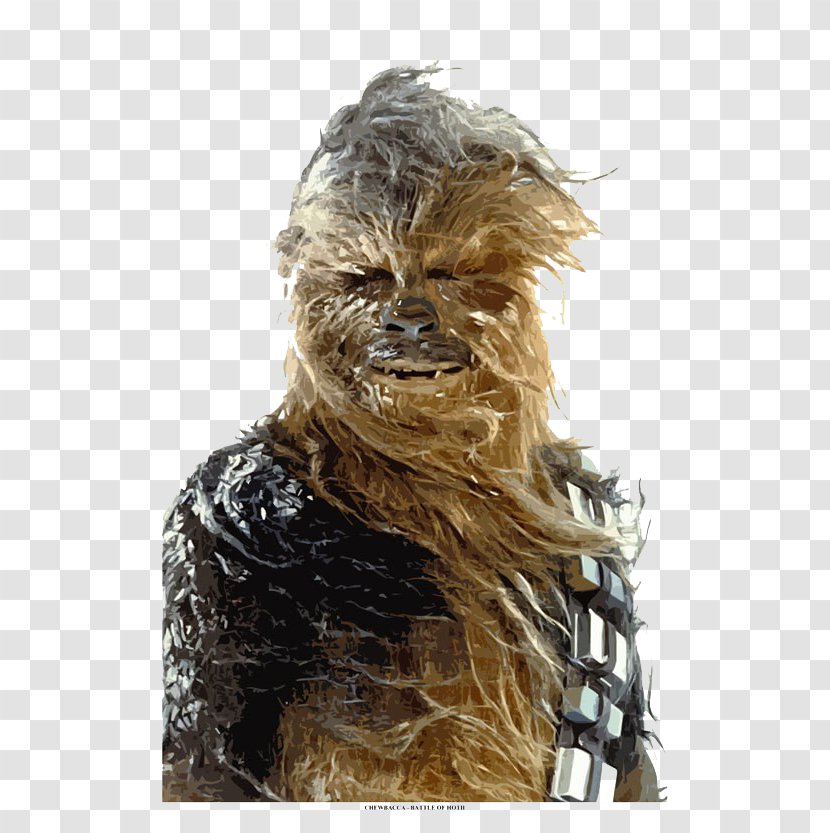 Chewbacca Anakin Skywalker Obi-Wan Kenobi Kyle Katarn Wookiee - Long Hair - Watercolor Orangutan Head Transparent PNG