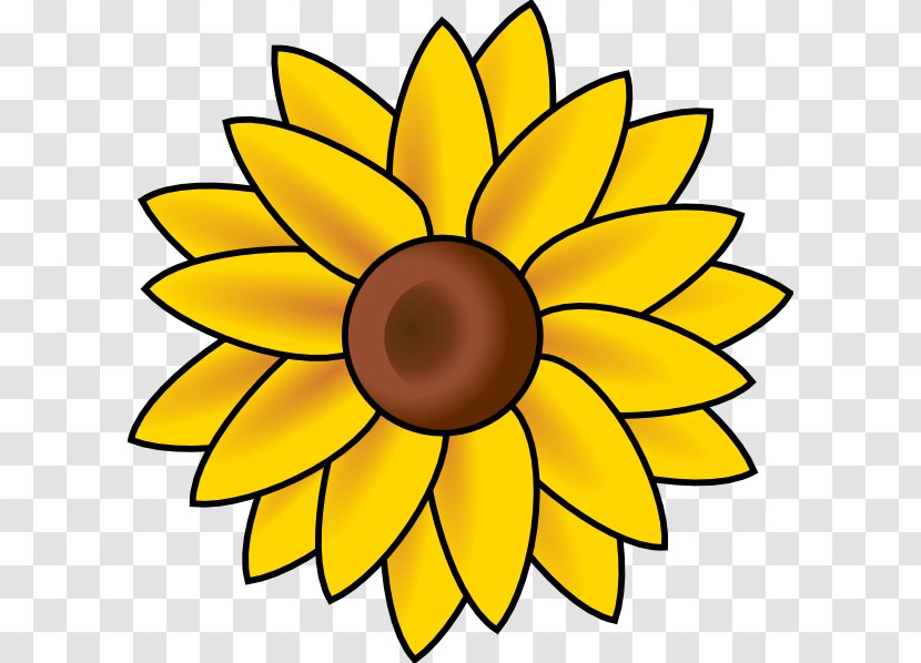 Common Sunflower Download Clip Art - Symmetry - Sun Flower Transparent PNG