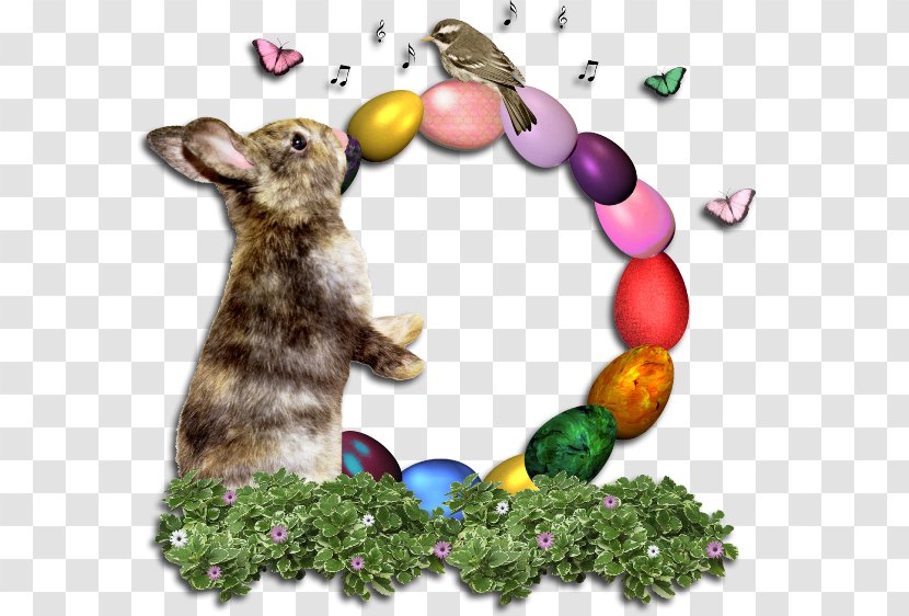 Hare Easter Bunny Rabbit Egg - Tet Holiday Transparent PNG