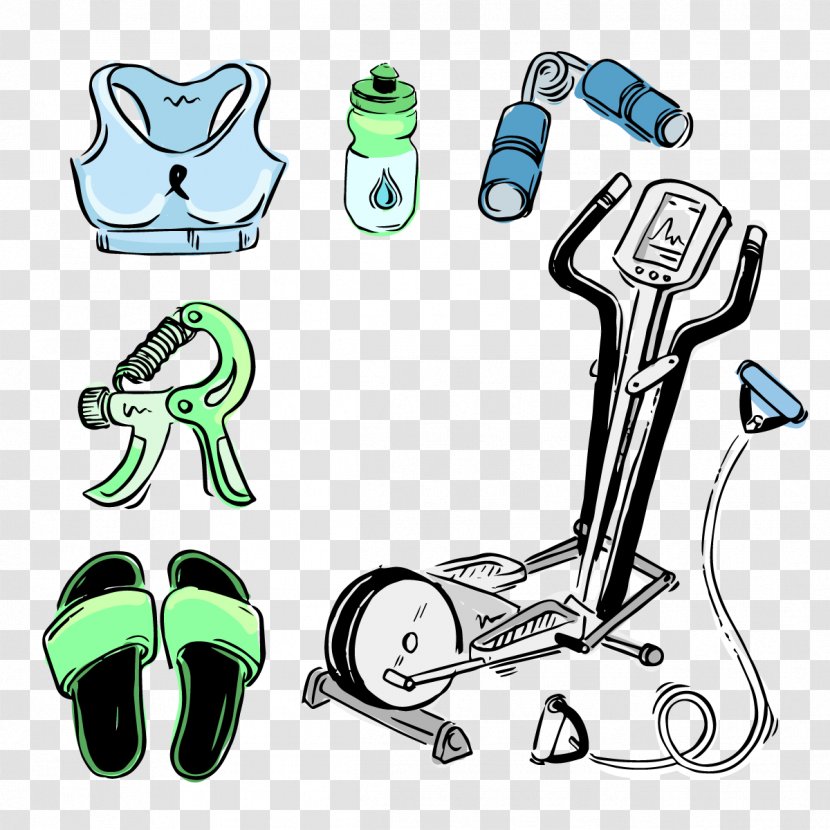 Physical Fitness Clip Art - Bodybuilding - Vector Women Sports Equipment Transparent PNG