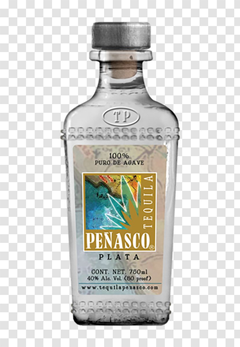 Tequila Liquor Beer Cocktail Brandy - Singani - Most Popular Brands Transparent PNG