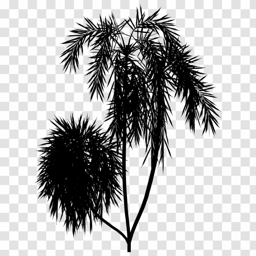 Asian Palmyra Palm Image Classic T Vaporwave Sao Acai - Monochrome - Borassus Flabellifer Transparent PNG