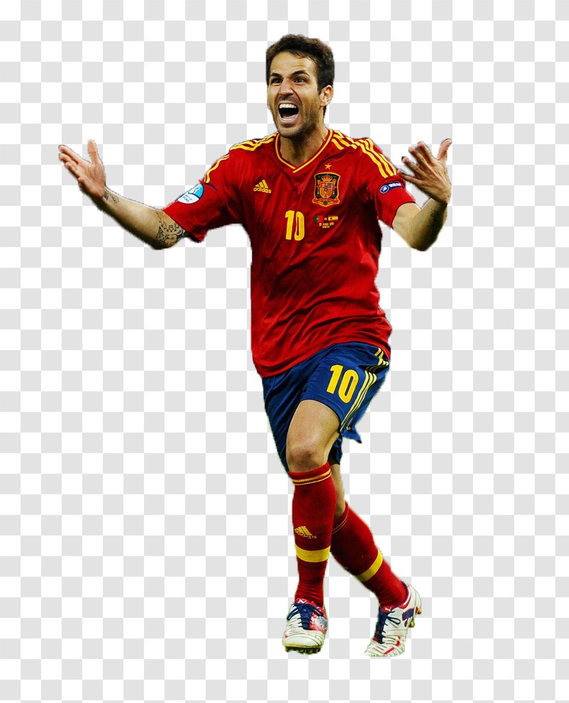Spain National Football Team Player Cesc Fàbregas Andrés Iniesta - Xabi Alonso Transparent PNG