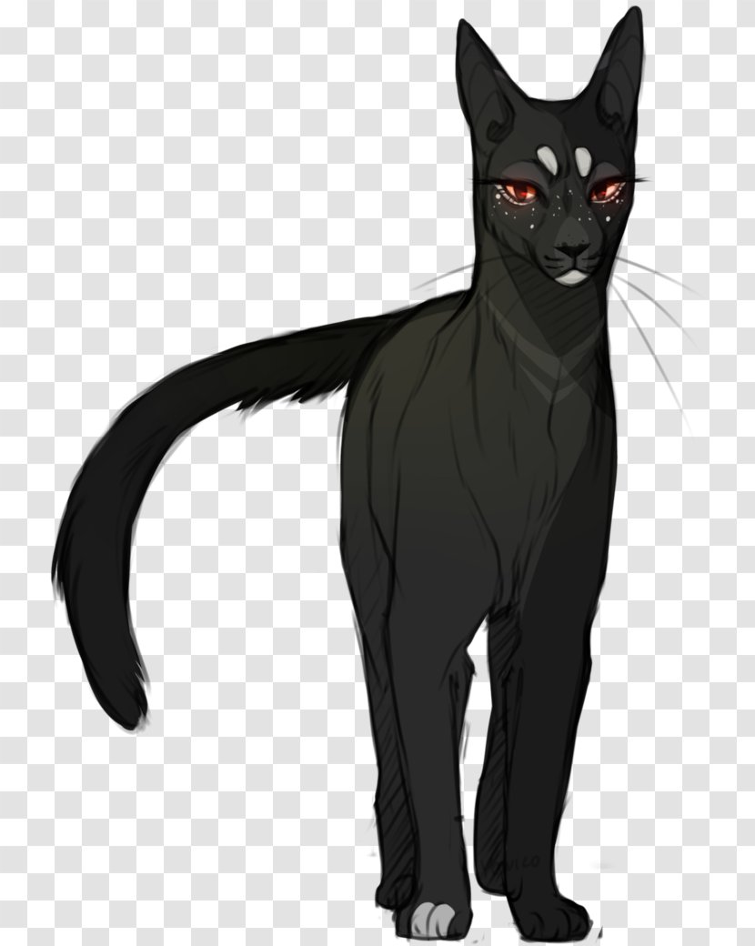 Black Cat Bombay Domestic Short-haired Kitten Warriors Transparent PNG